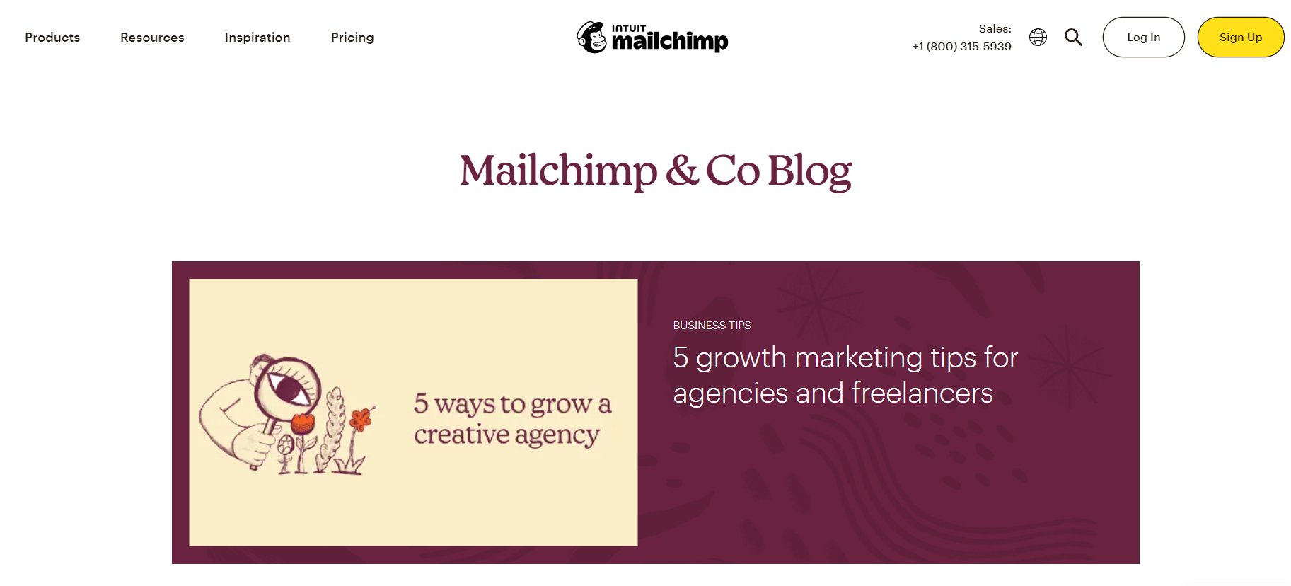 Mailchimp's Blog