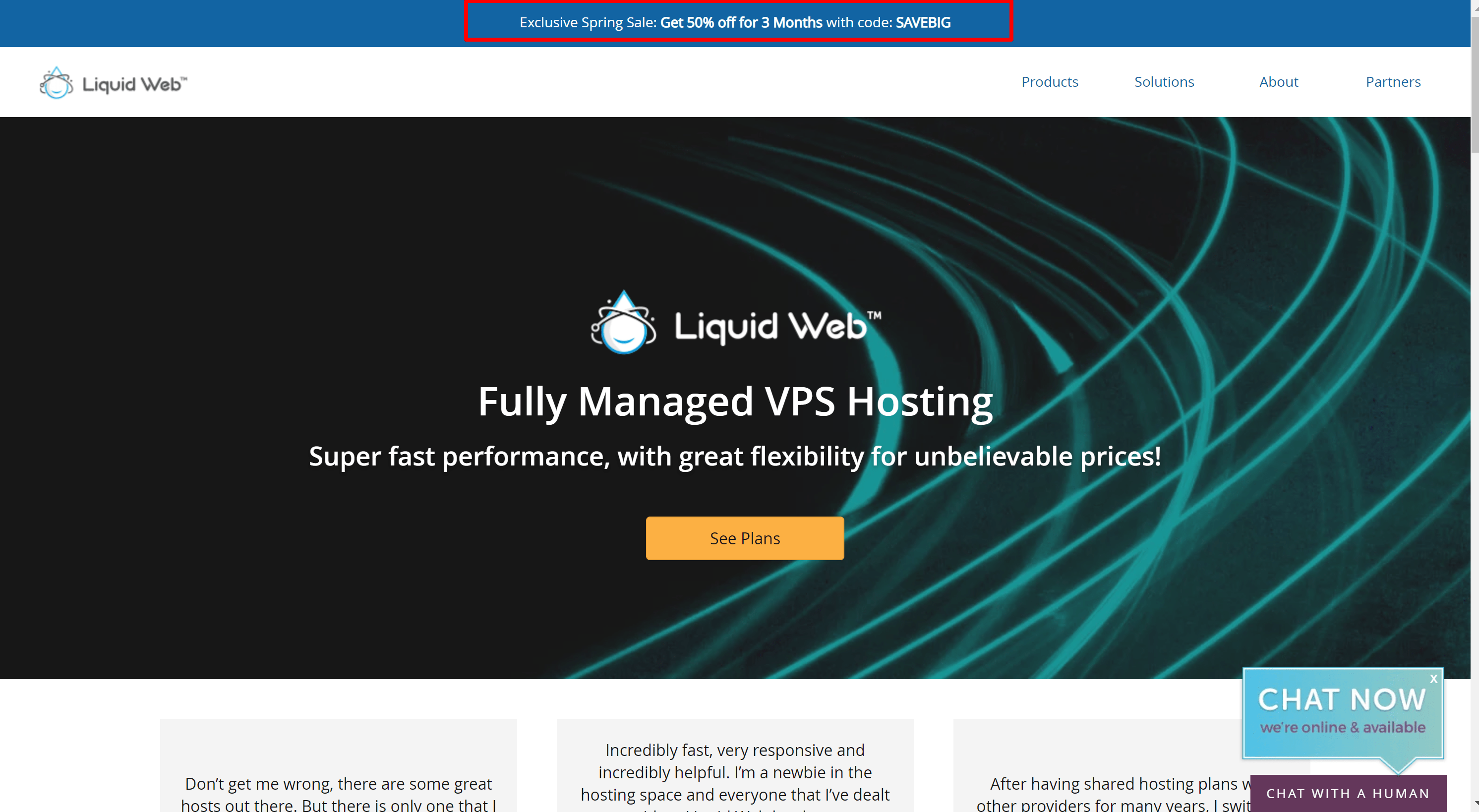 Liquidweb hosting sale