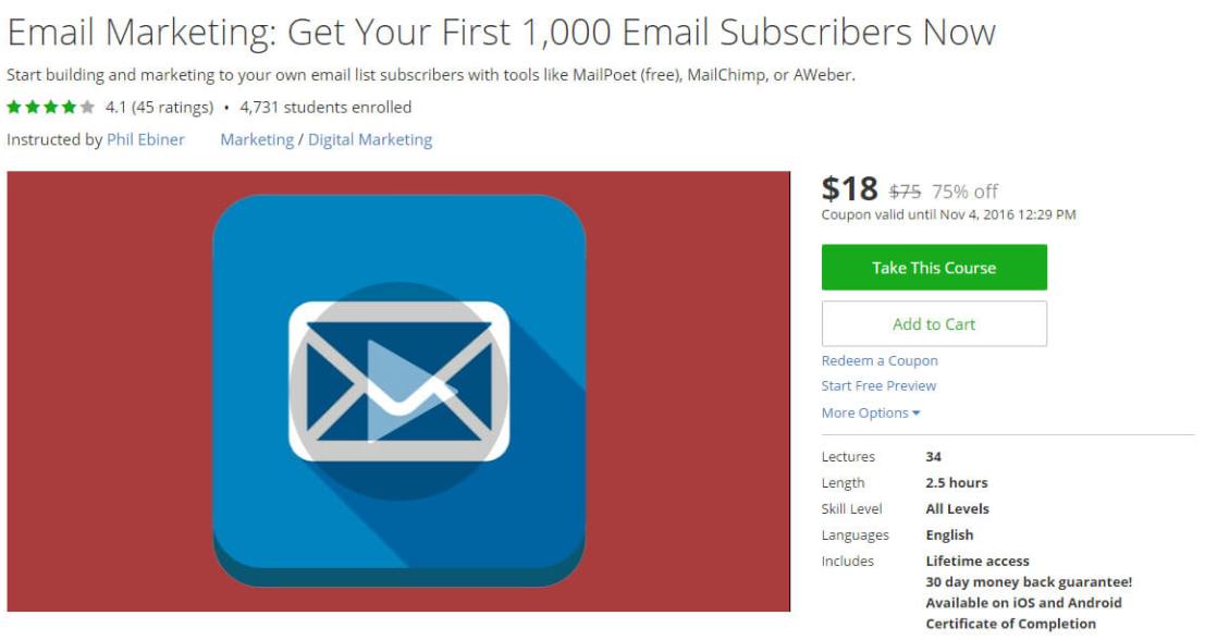 Email Marketing Get Your First 1000 Email Subscribers Now