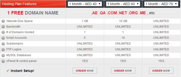 Plans de service AE - Meilleurs fournisseurs d'hébergement Web à Dubaï, Émirats arabes unis
