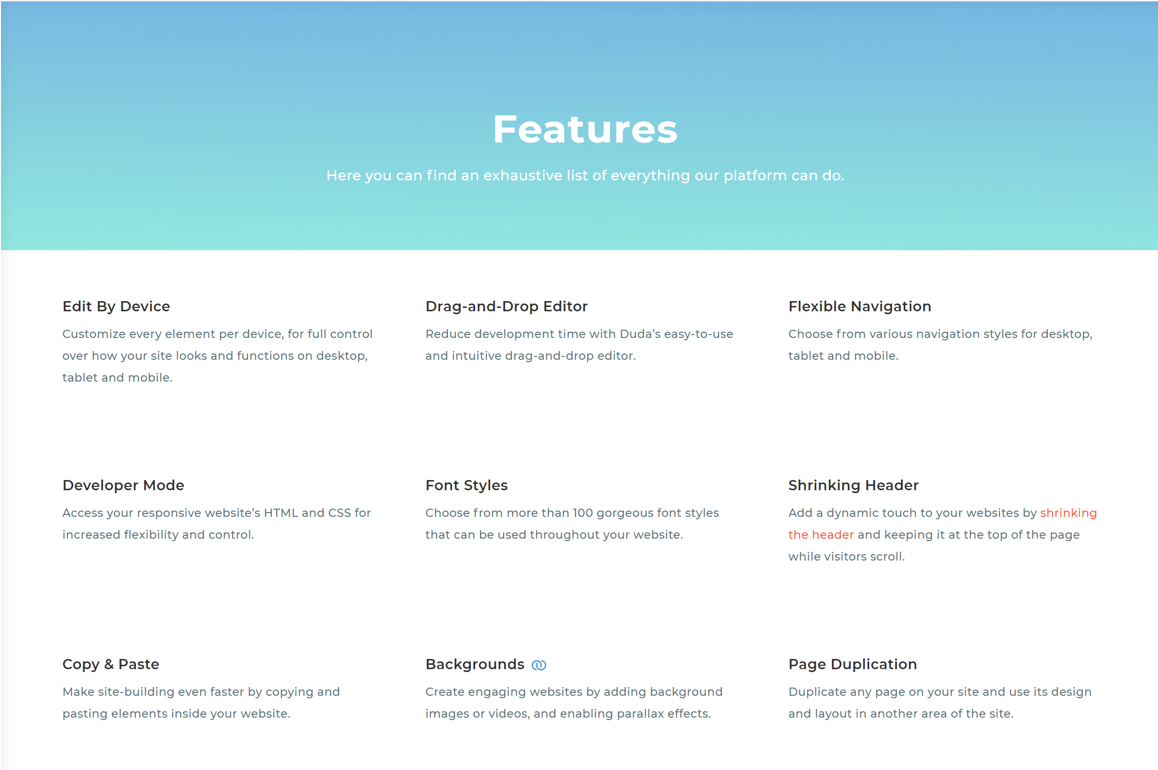 Dudamobilke website builde features