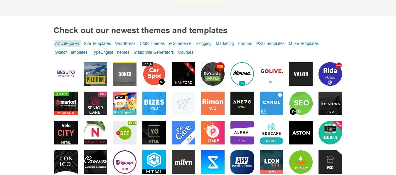 ThemeForest Themes