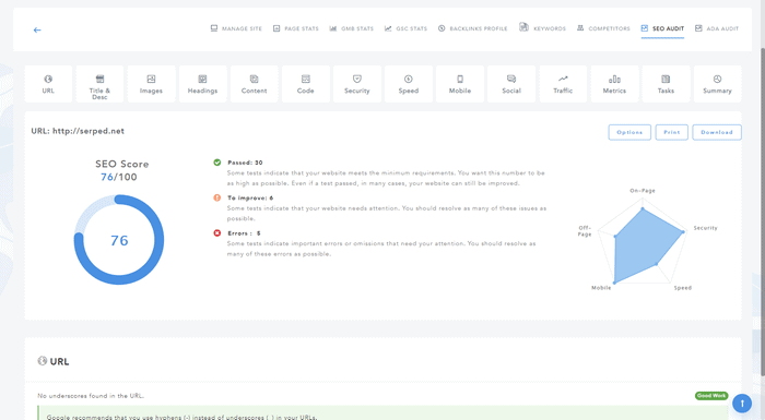 seo audit- serped review