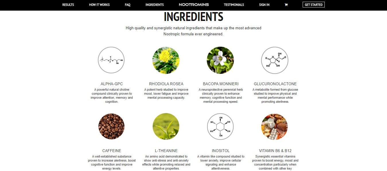 Full Detail about ingredients use in nootromins