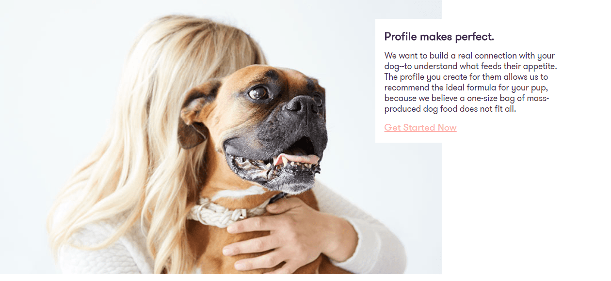 Ollie Coupon Codes- Create Your Dog Profile