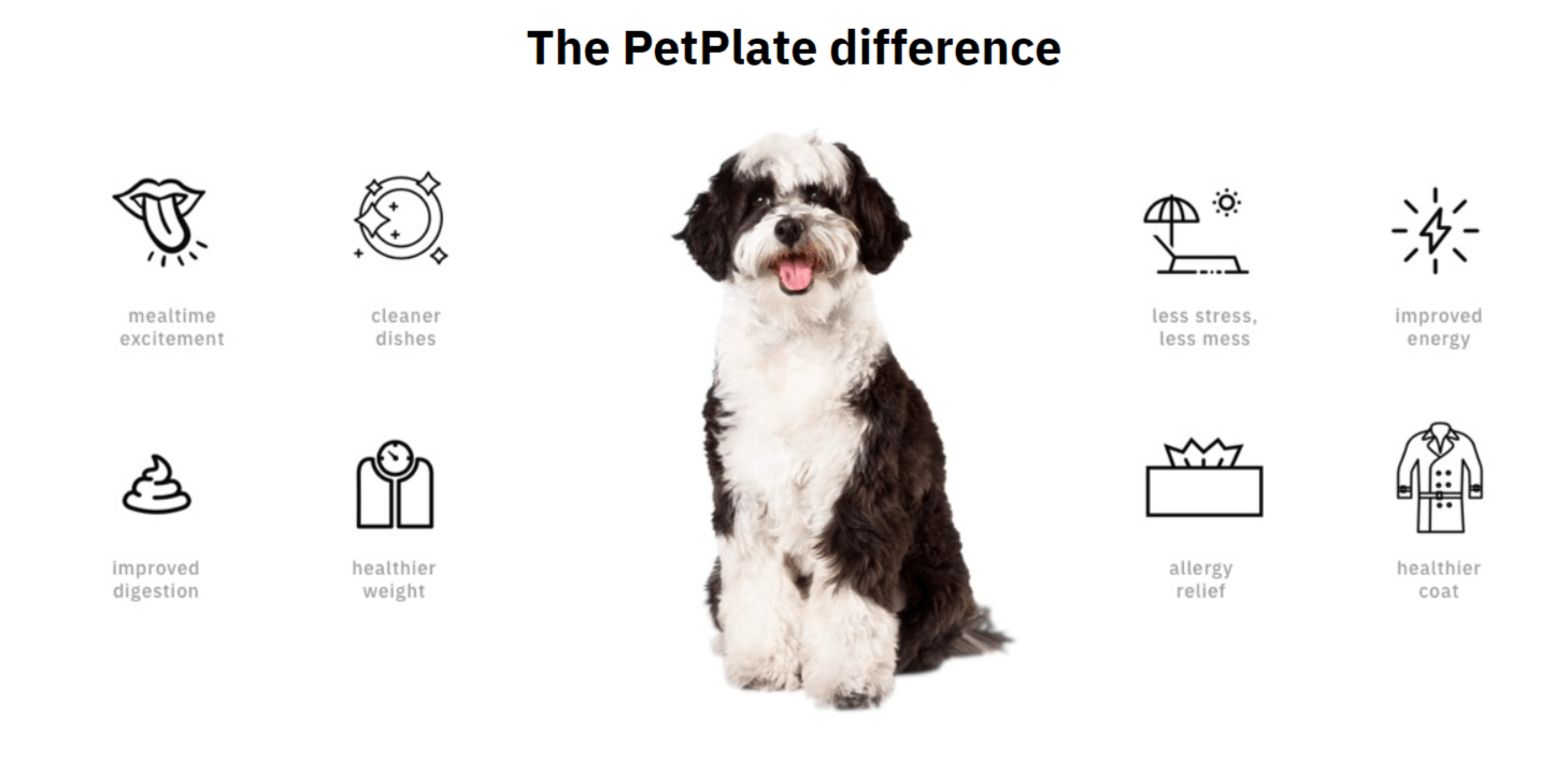 PetPlate Coupon Codes- Feel The Difference