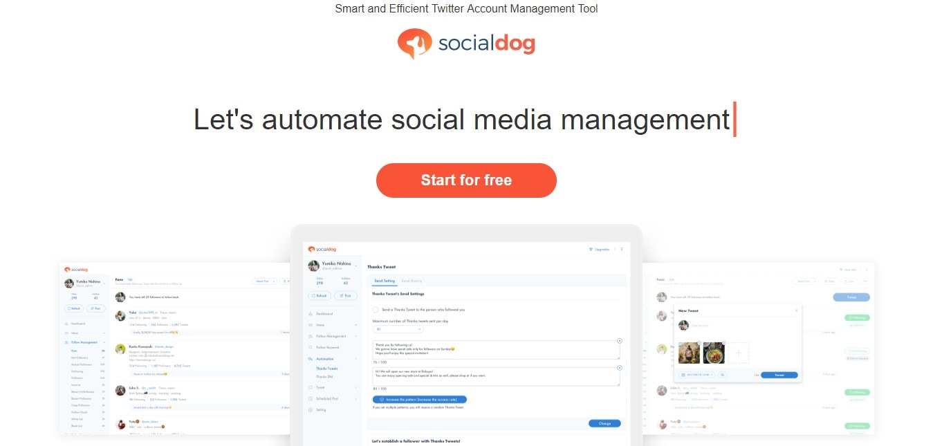 socialdog coupons - automate social media management