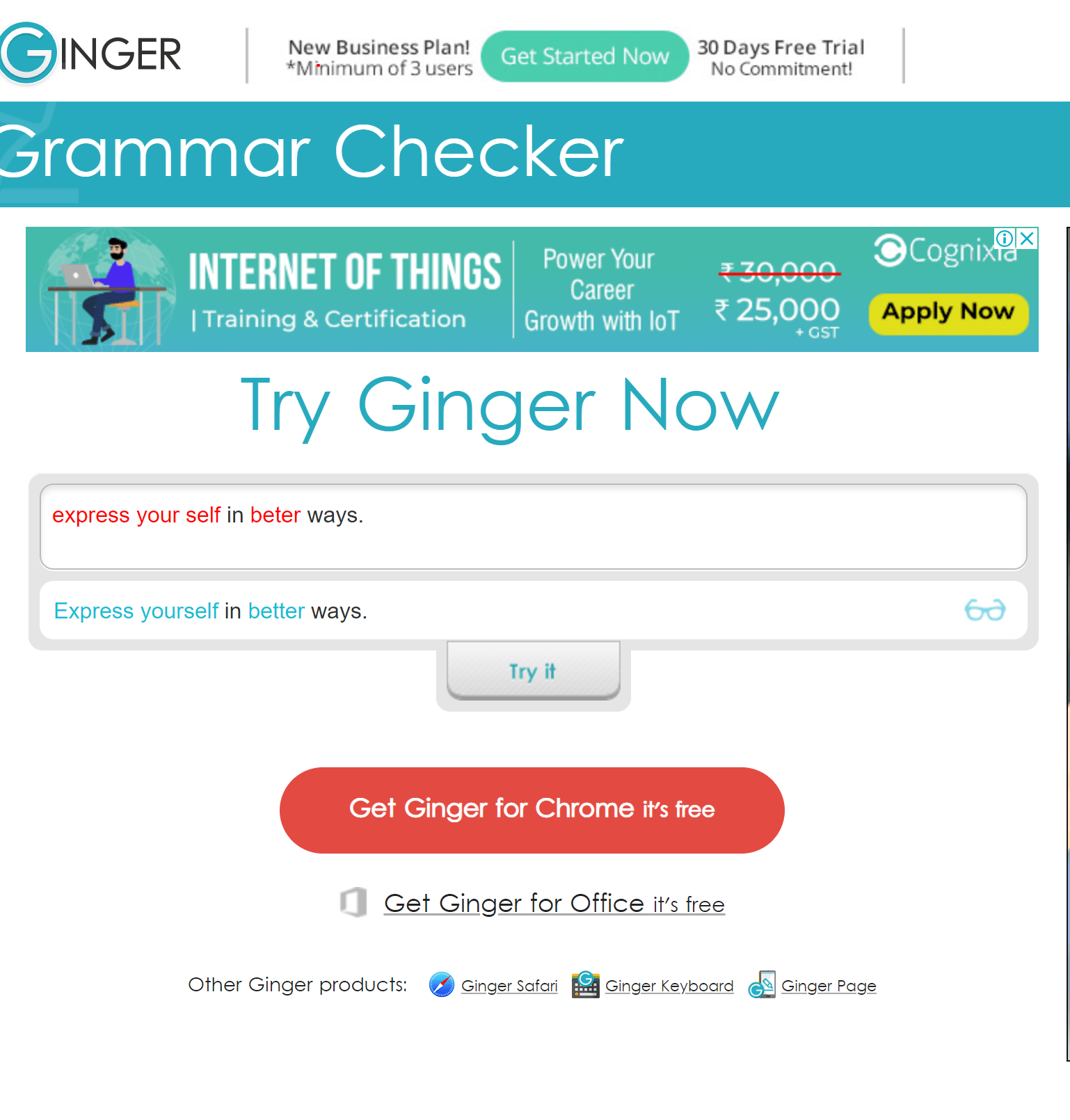 Ginger Grammar Checker-Ginger software coupon codes