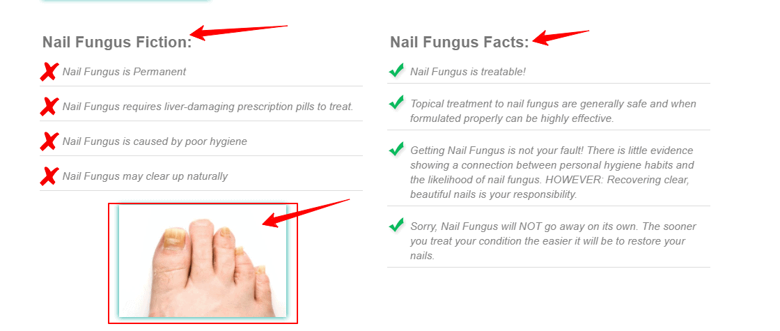 EmoniNail Review - About Nail Fungus – EmoniNail™ Nail Fungus Treatment