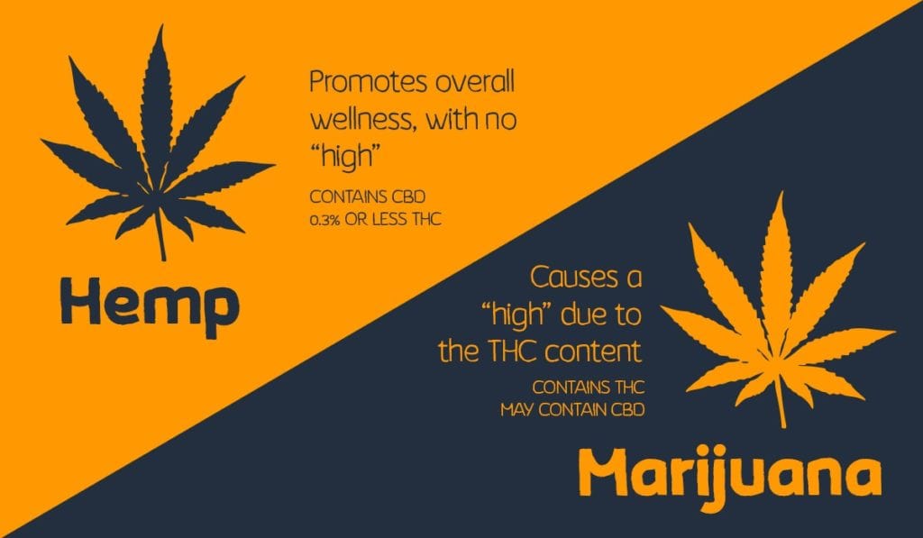 Made By Hemp - Review - Hemp - Marijuana