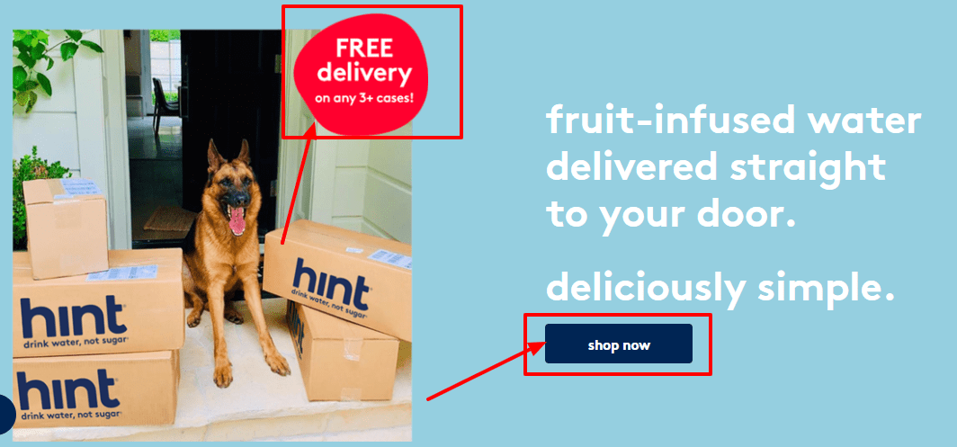 Drink Hint Free Delivery