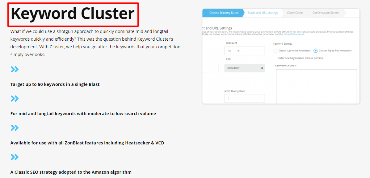 Zonblast review - keyword cluster