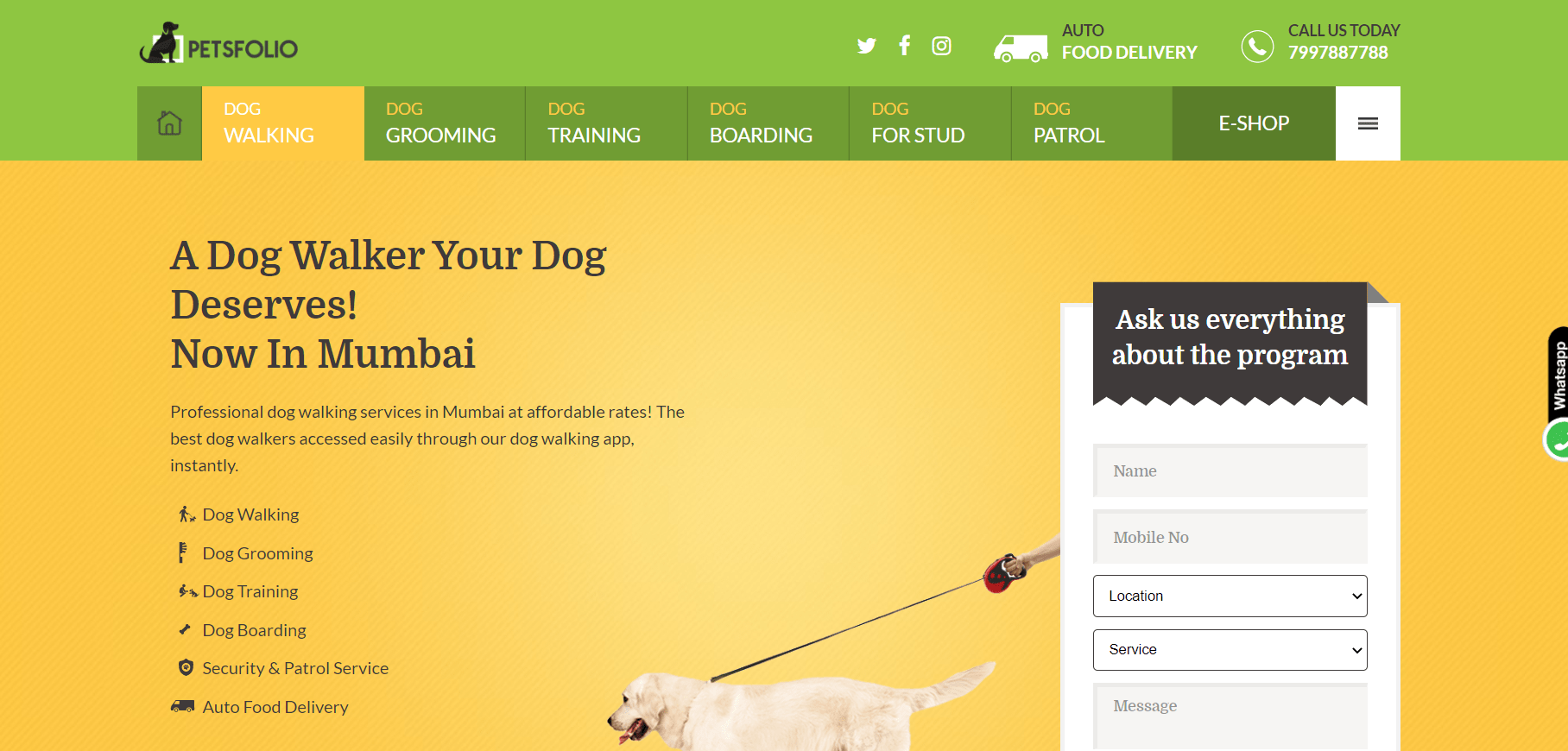 earn money from Dog Walking And Sitting