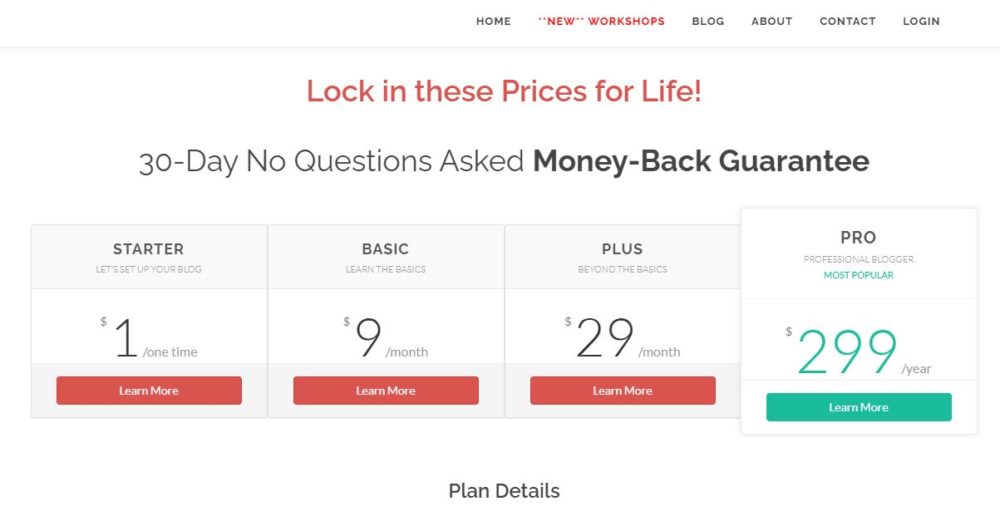 The Blog Village Pricing