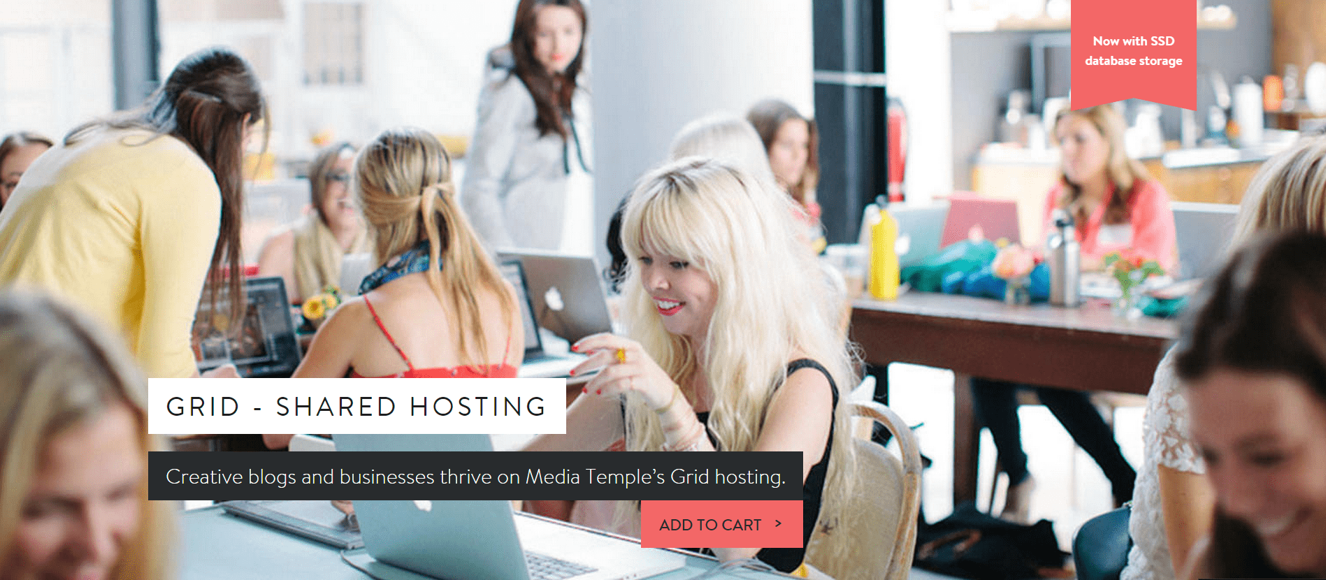 Media-temple-hosting-plan-shared-hosting