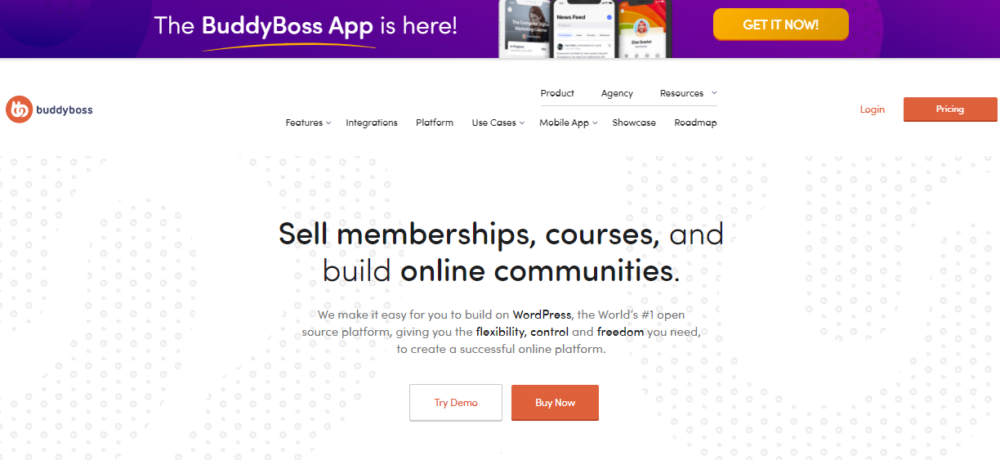 buddyboss review