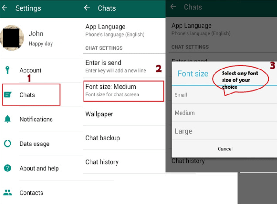 Change Font Style in WhatsApp Steps