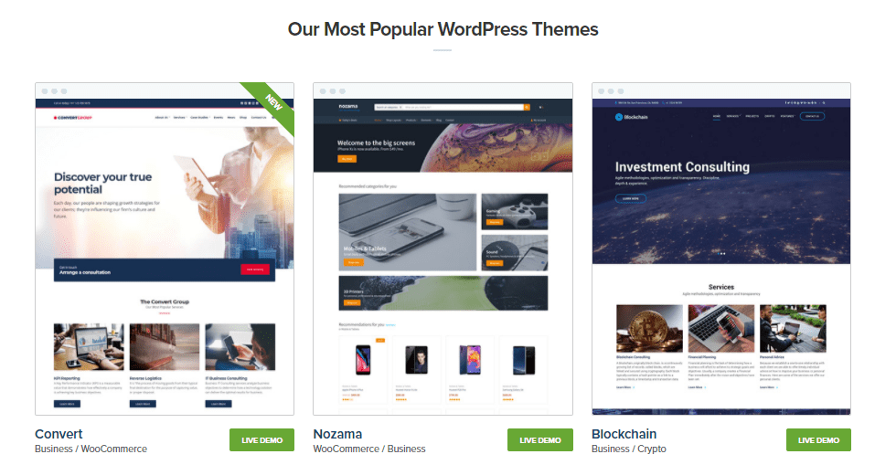 popular wordpress themes