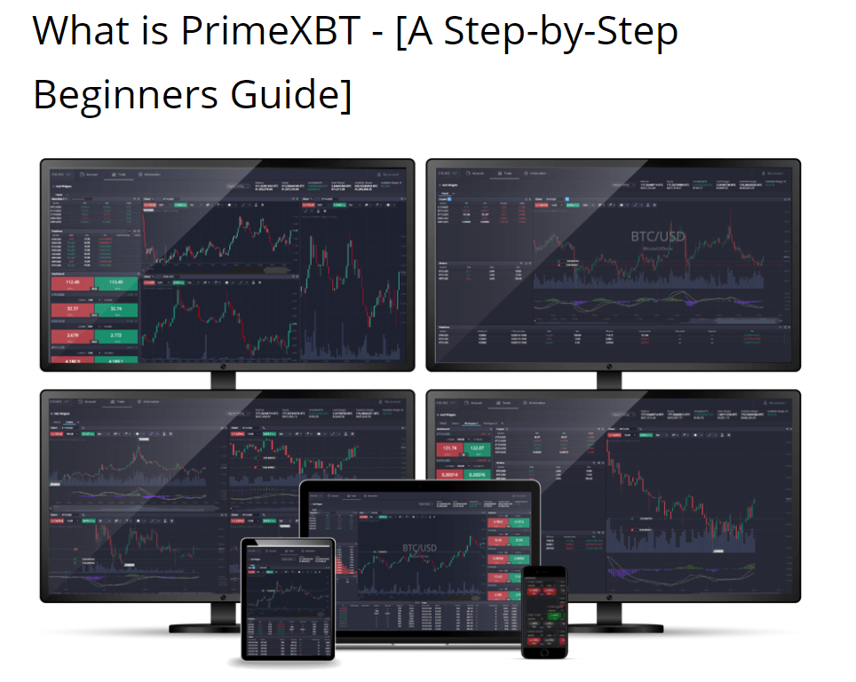PrimeXBT Guide