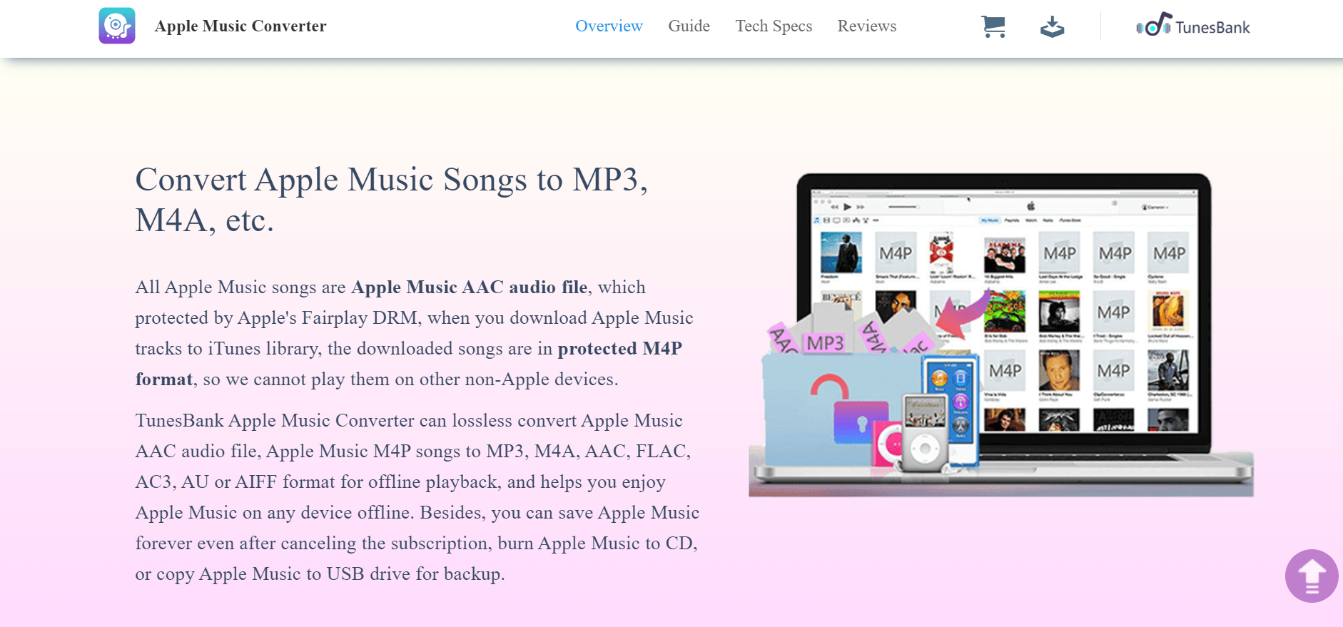 TunesBank Apple Music Converter-overview3