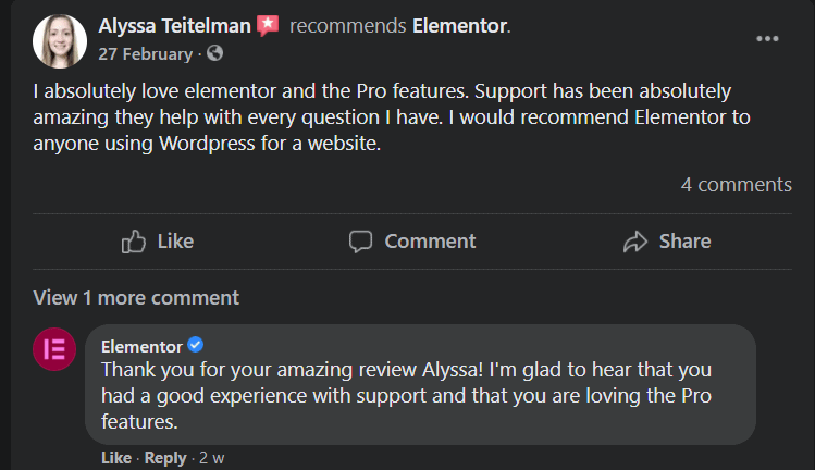 Elementor Facebook Review