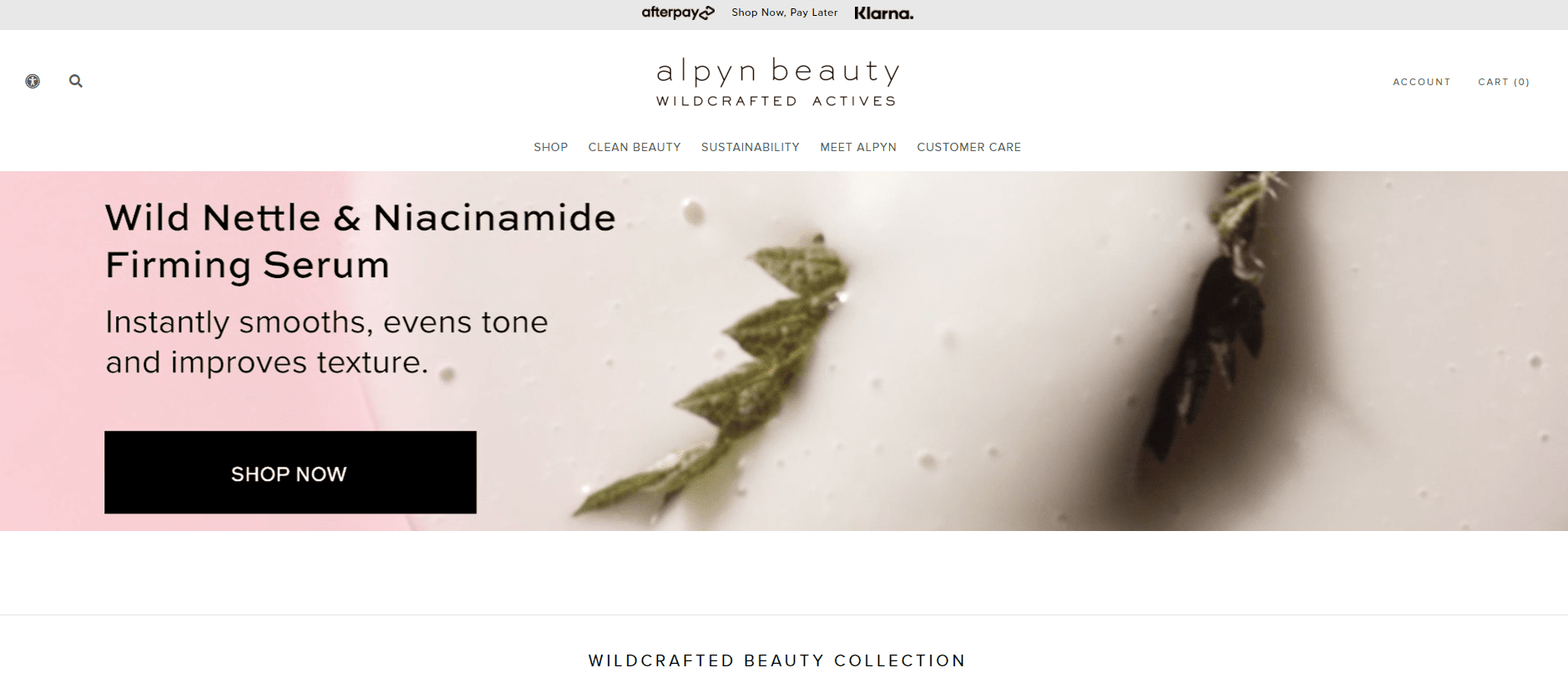 Alpyn Beauty- Best Makeup Affiliate Programs