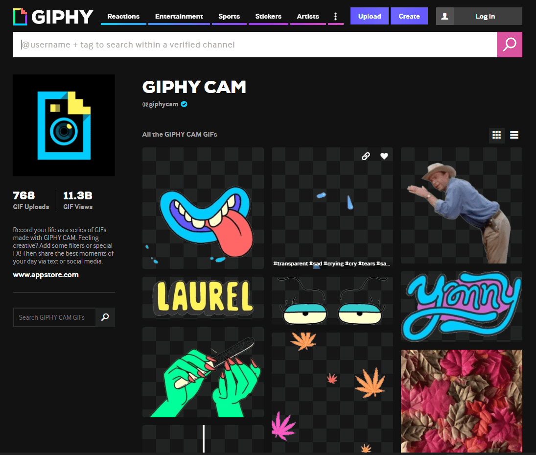 Giphy Cam