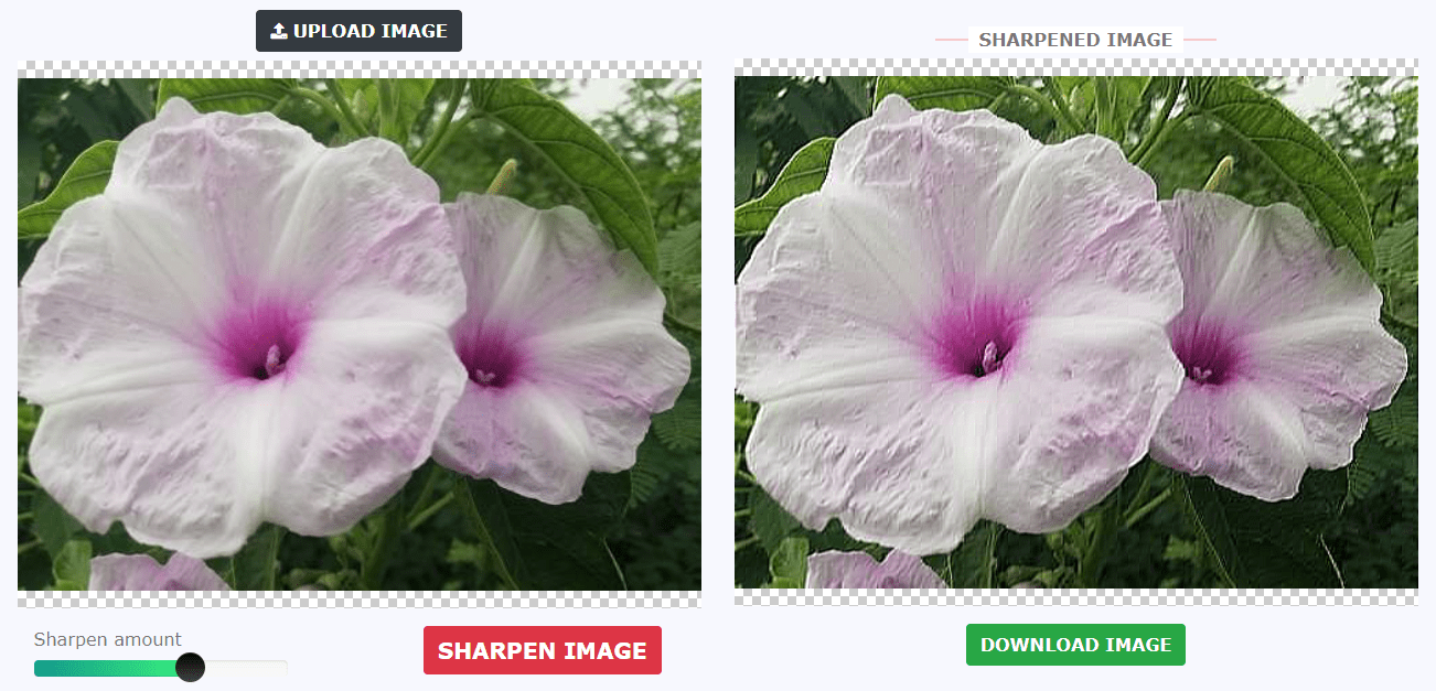 Photosharpen - How to Unblur a Photo or Image