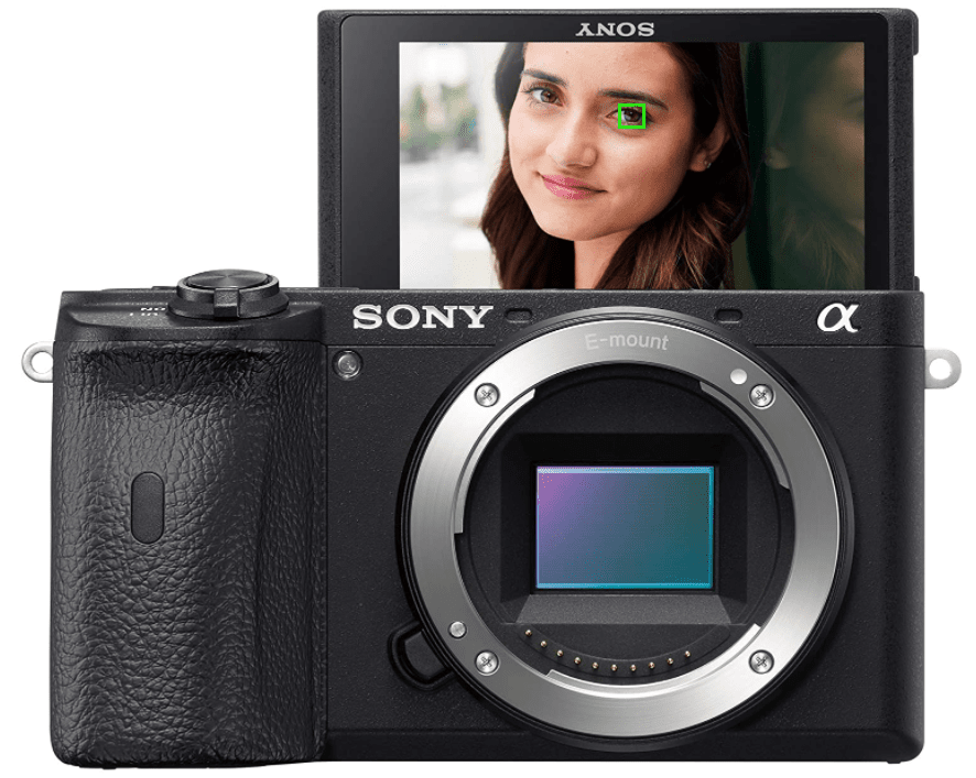 Sony Alpha a6600 - Best Camera For Blogging
