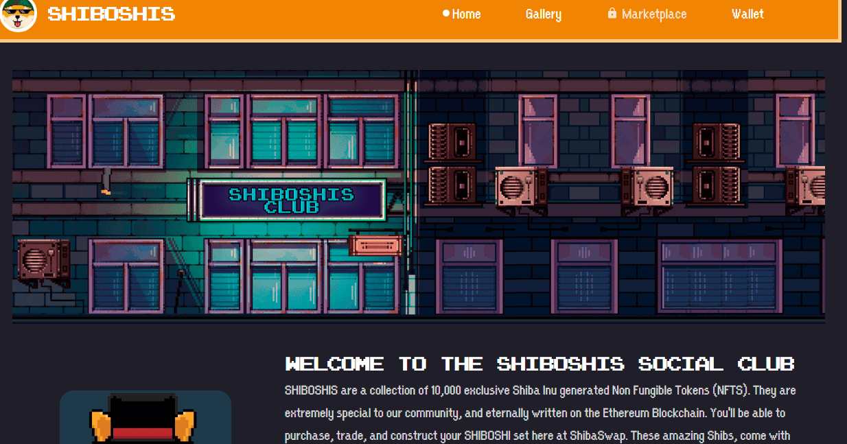 Shiboshi Review