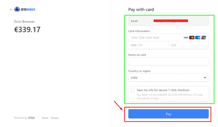 Fill in the details and click on Pay Button