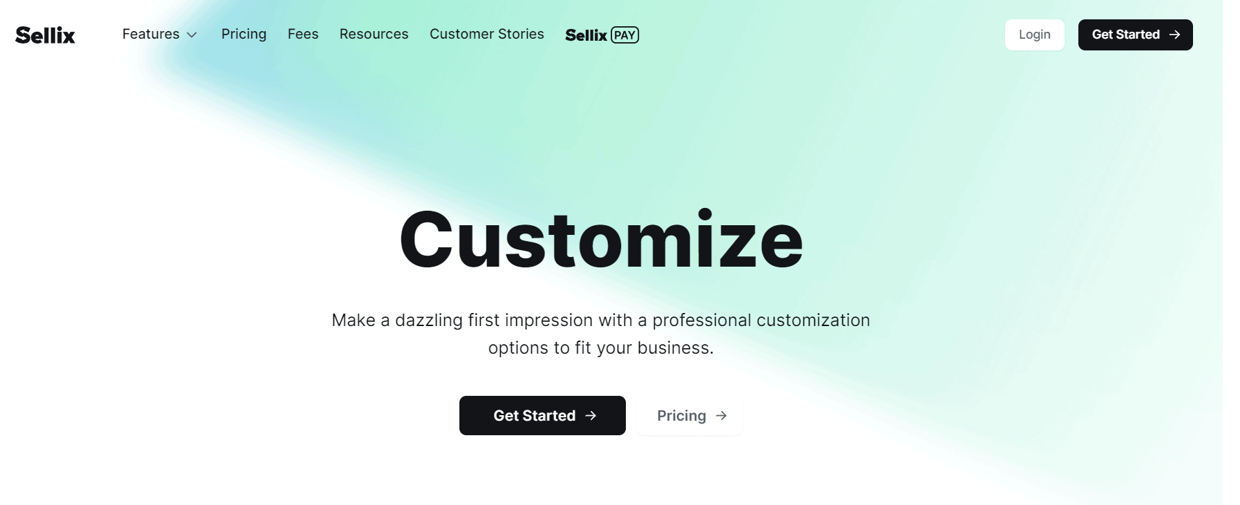 Sellix Customize Features Overview